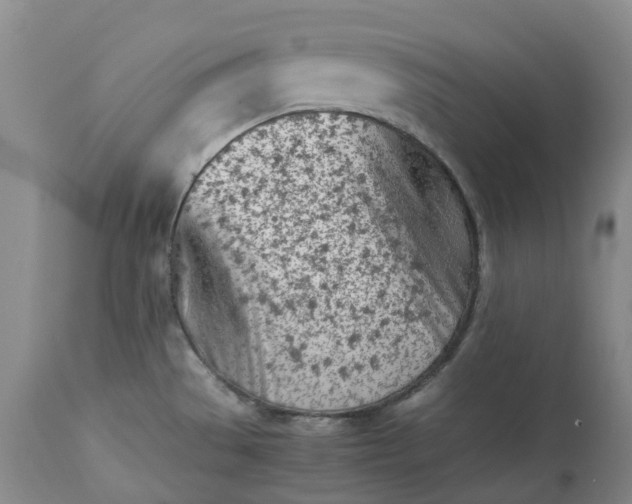 X0000113351529200909291042