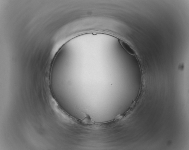 X0000113351530200909291042