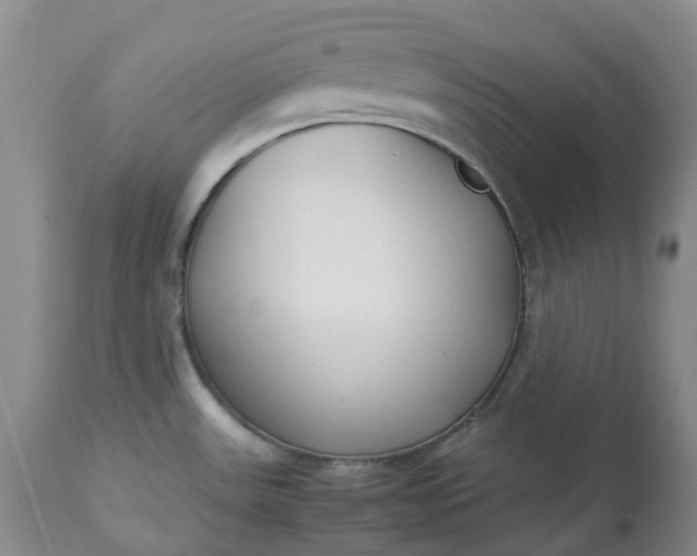 X0000113351531200909291042