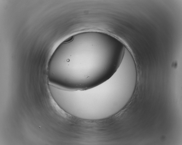 X0000113351532200909291042