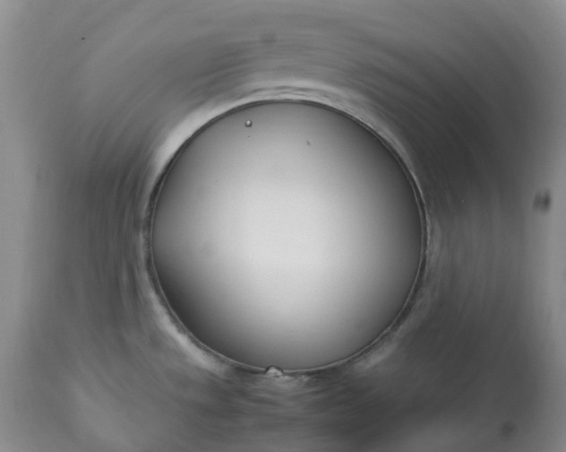 X0000113351533200909291042