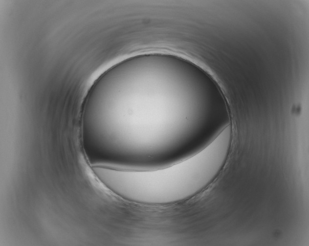 X0000113351534200909291042
