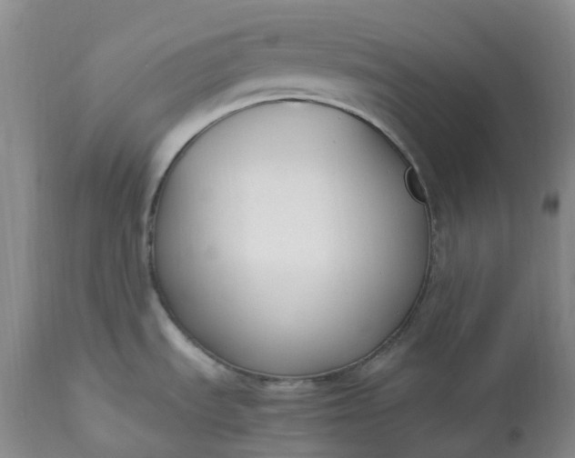 X0000113351535200909291042