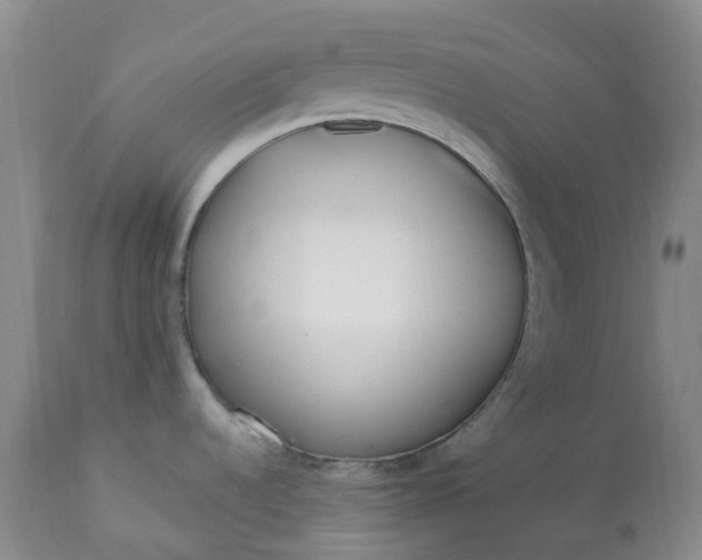 X0000113351536200909291042