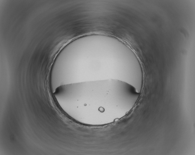 X0000113350001200910061028