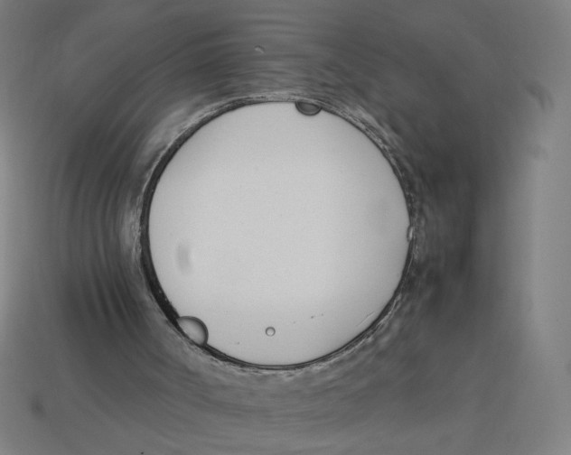 X0000113350002200910061028