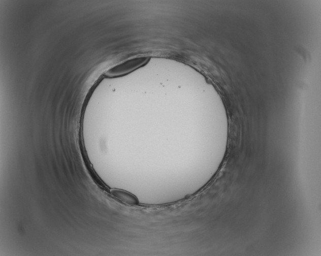 X0000113350003200910061028