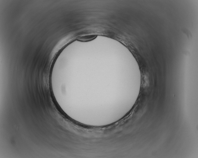 X0000113350004200910061028