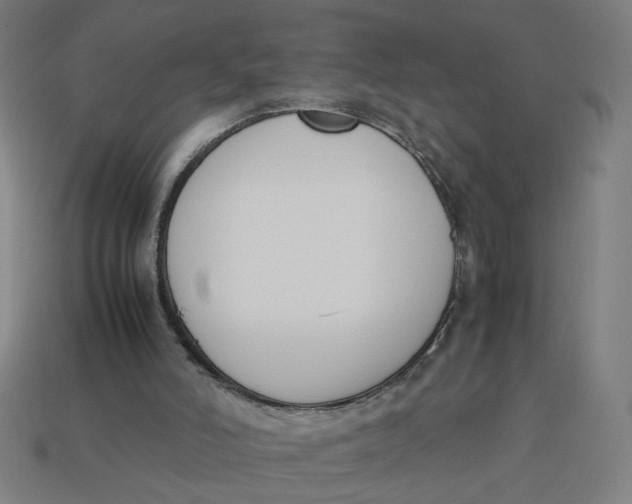 X0000113350006200910061028