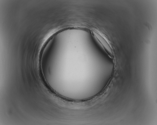 X0000113350008200910061028