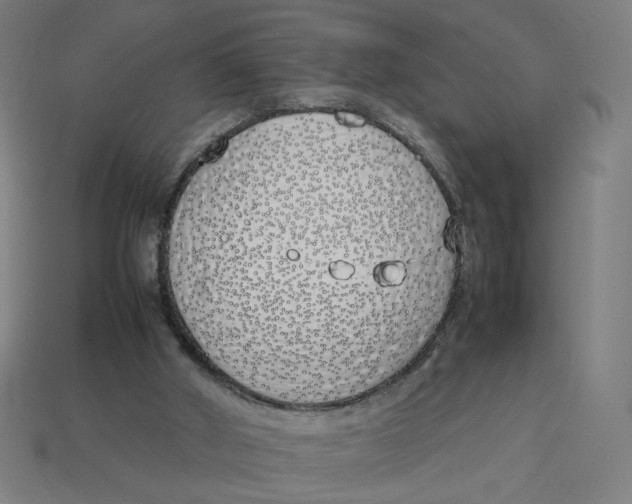 X0000113350010200910061028