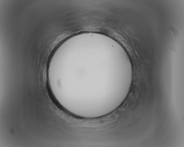 X0000113350011200910061028