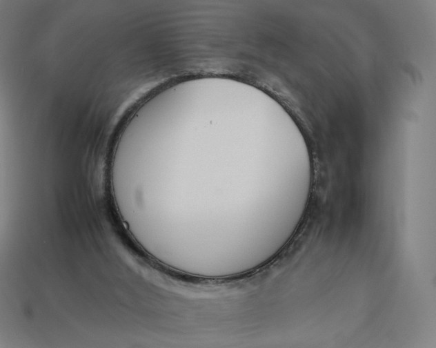 X0000113350012200910061028