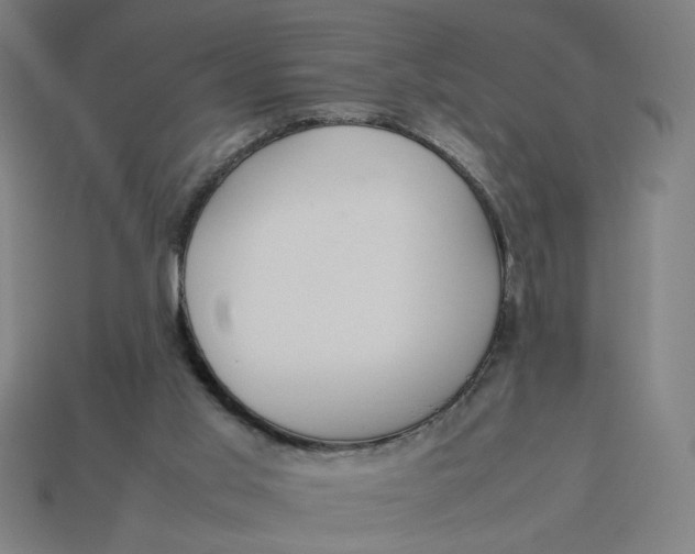 X0000113350013200910061028