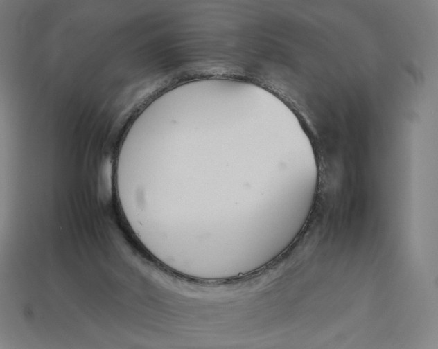 X0000113350014200910061028