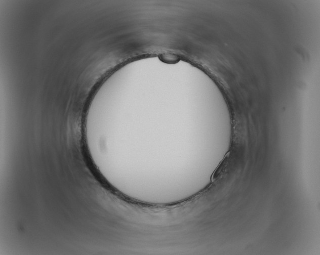 X0000113350015200910061028