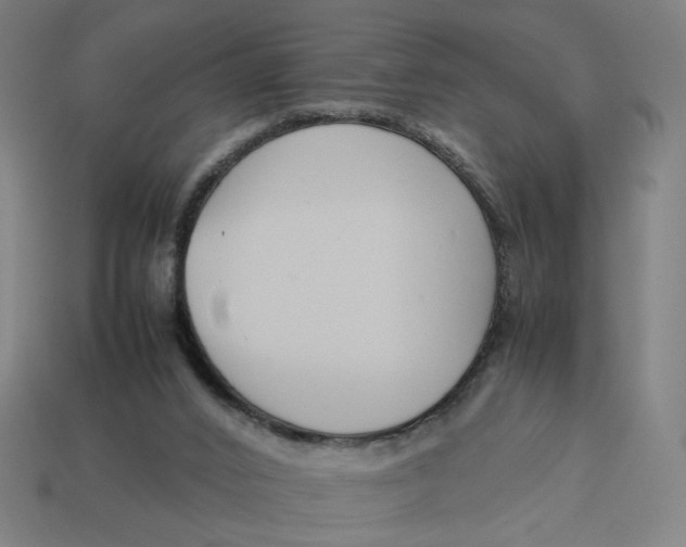 X0000113350016200910061028