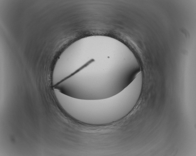 X0000113350017200910061028