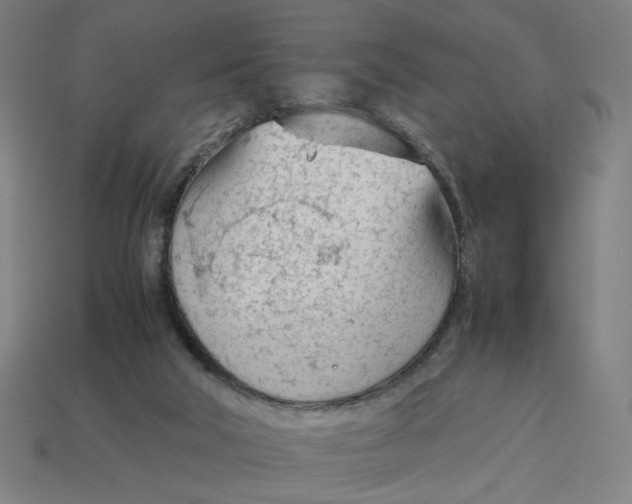 X0000113350018200910061028