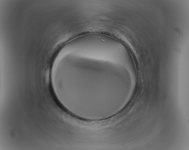 X0000113350019200910061028