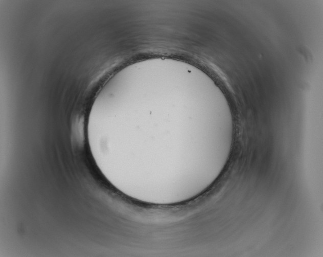 X0000113350020200910061028