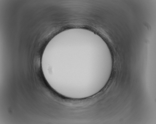 X0000113350021200910061028