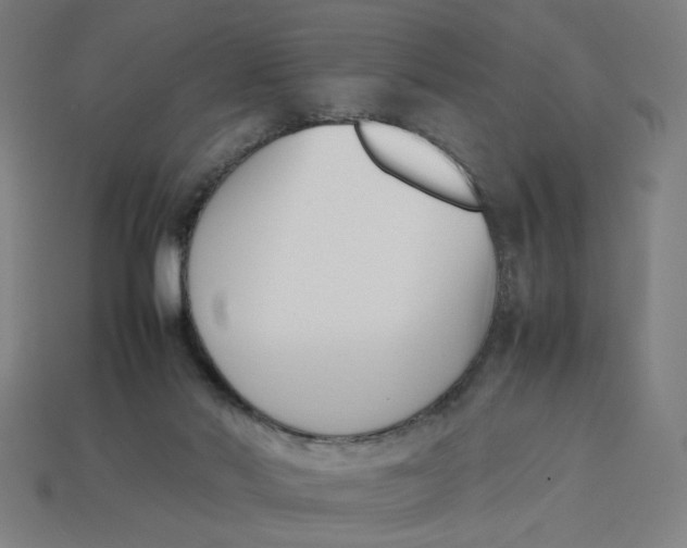 X0000113350022200910061028