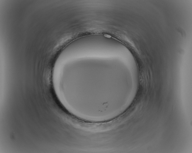 X0000113350023200910061028