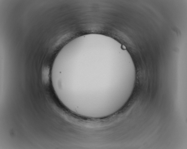 X0000113350024200910061028