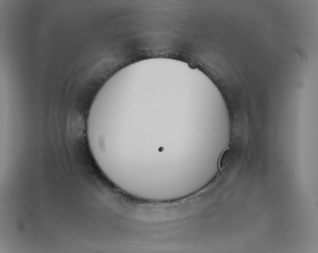 X0000113350025200910061028