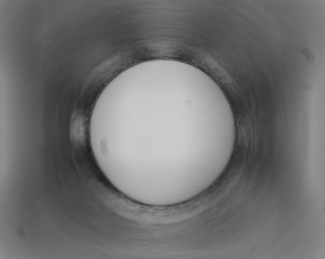 X0000113350026200910061028