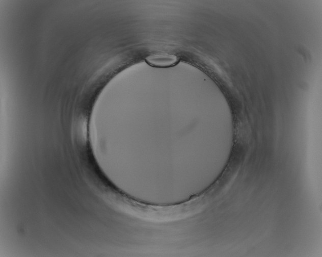 X0000113350027200910061028