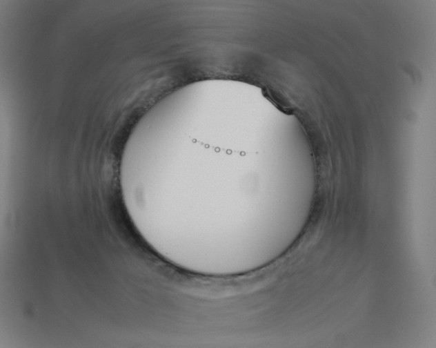 X0000113350029200910061028