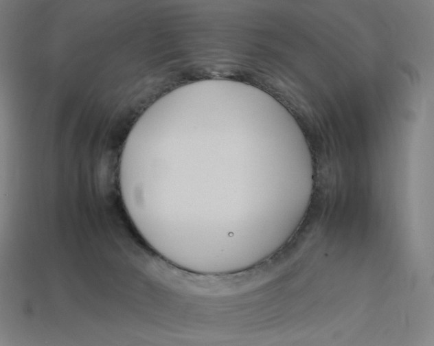 X0000113350030200910061028