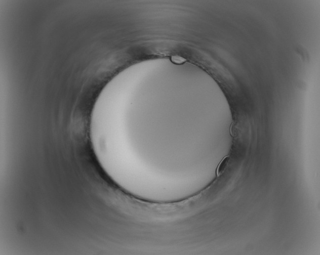 X0000113350031200910061028