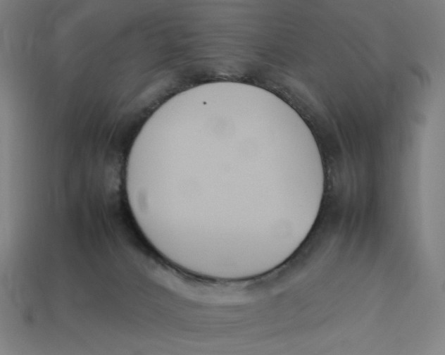 X0000113350032200910061028