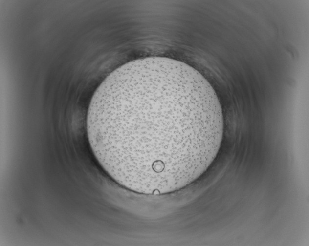 X0000113350034200910061028