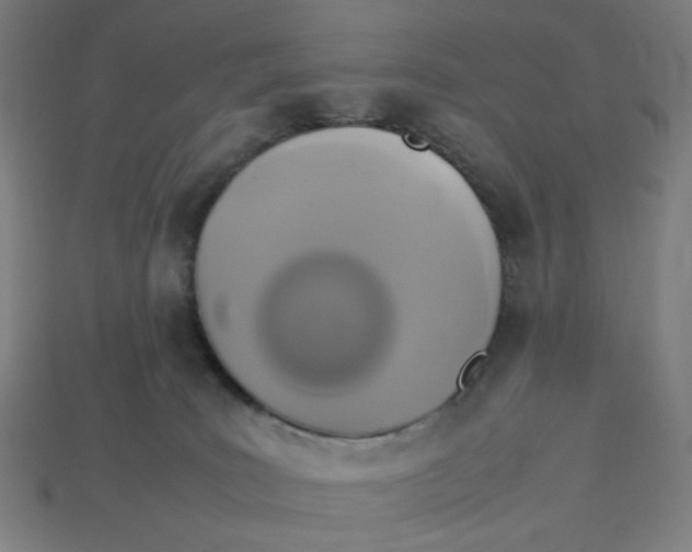 X0000113350035200910061028