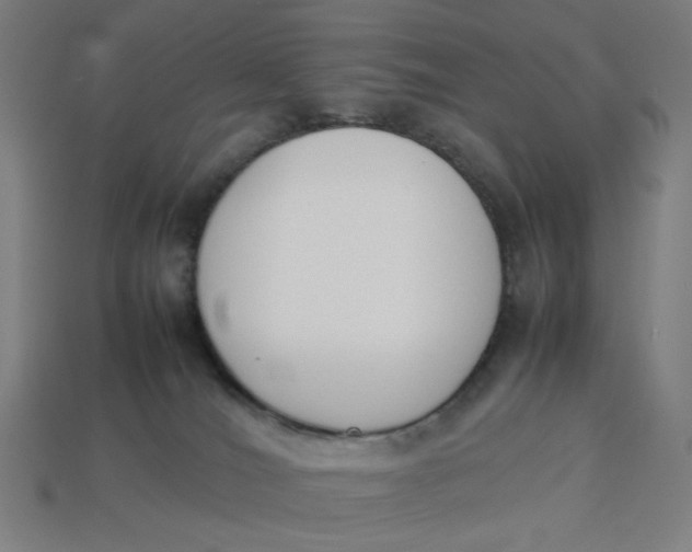 X0000113350036200910061028