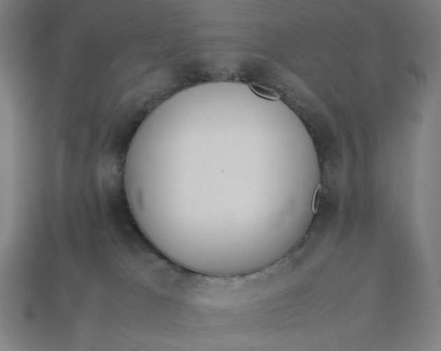 X0000113350037200910061028