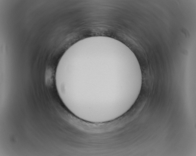 X0000113350038200910061028