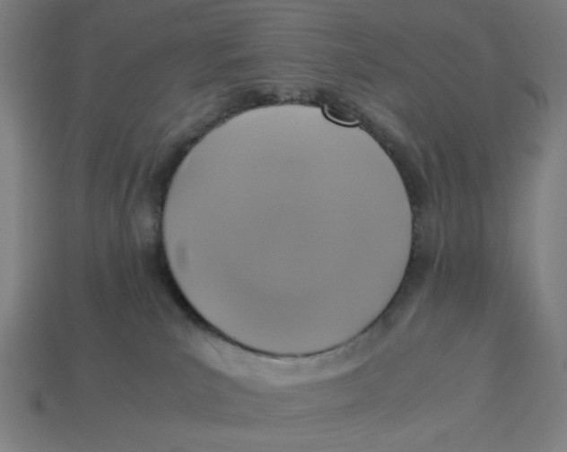 X0000113350039200910061028