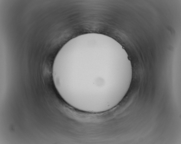 X0000113350040200910061028