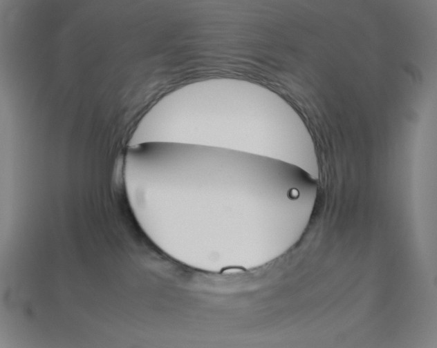 X0000113350041200910061028