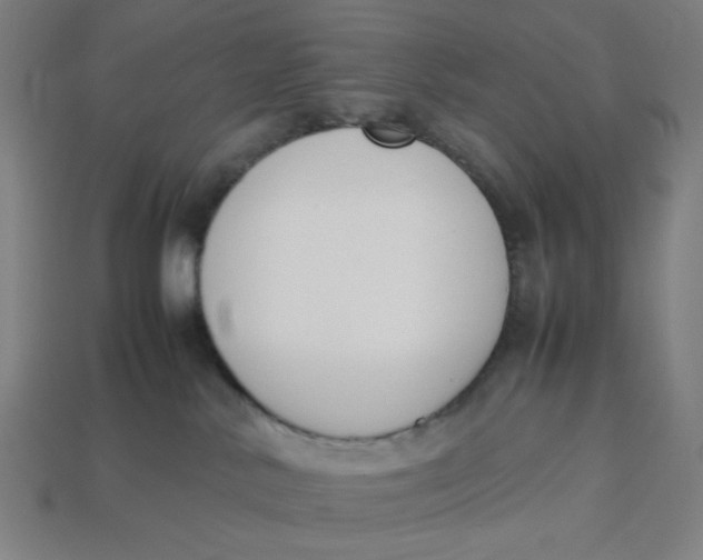 X0000113350042200910061028