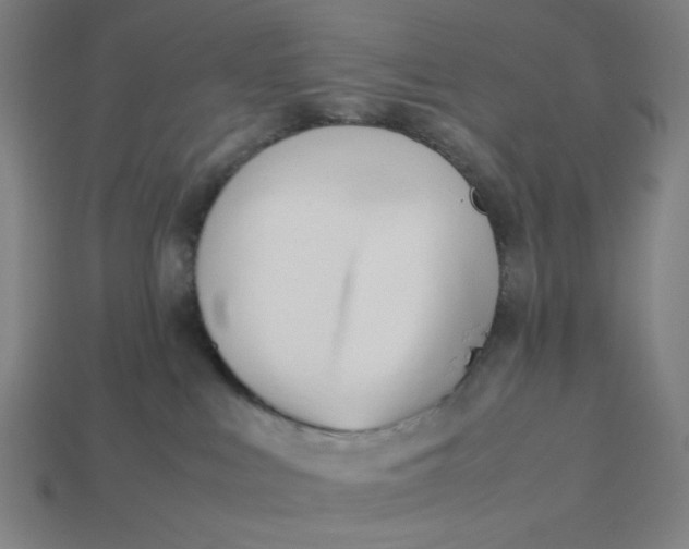 X0000113350043200910061028