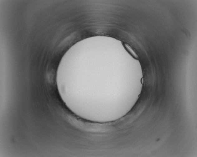 X0000113350044200910061028