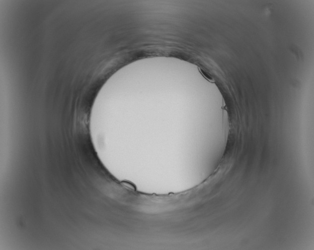 X0000113350045200910061028