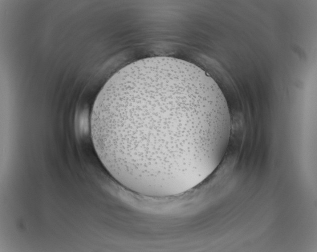 X0000113350046200910061028