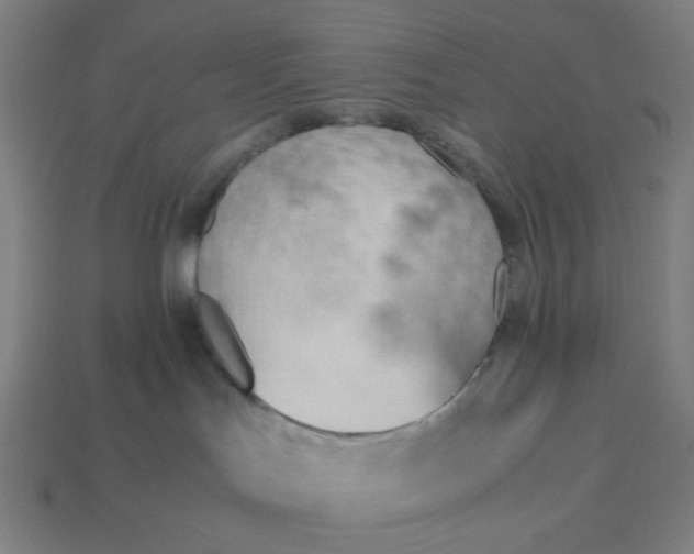 X0000113350047200910061028